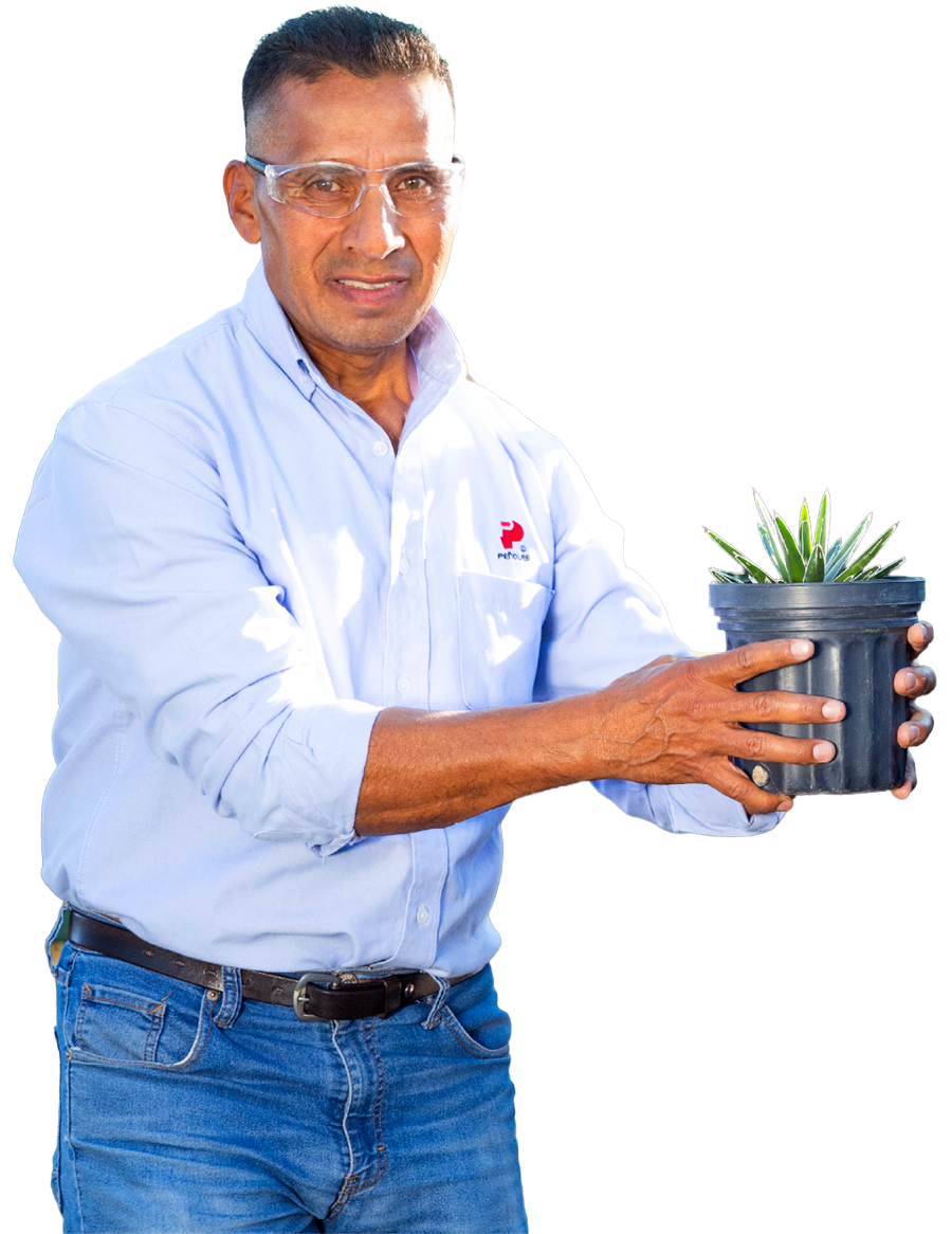 Colaborador de Pe&ntilde;oles con lentes de seguridad sosteniendo una planta en maceta