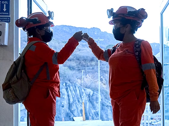 Organizational Values