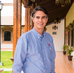 CEO and Management Team