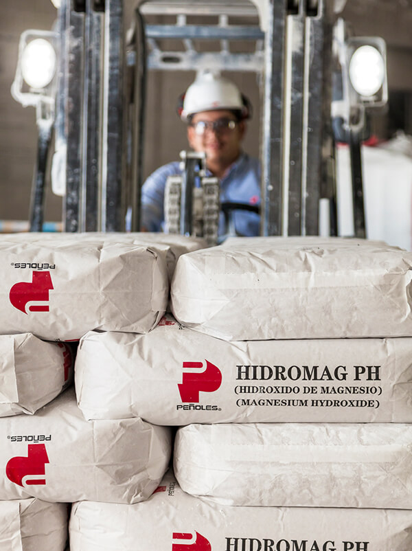 Hidróxido de Magnesio 08