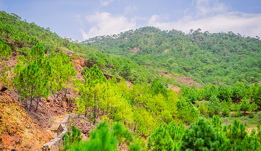 Planning the life cycle of a mining operation, from inception to closure, includes: