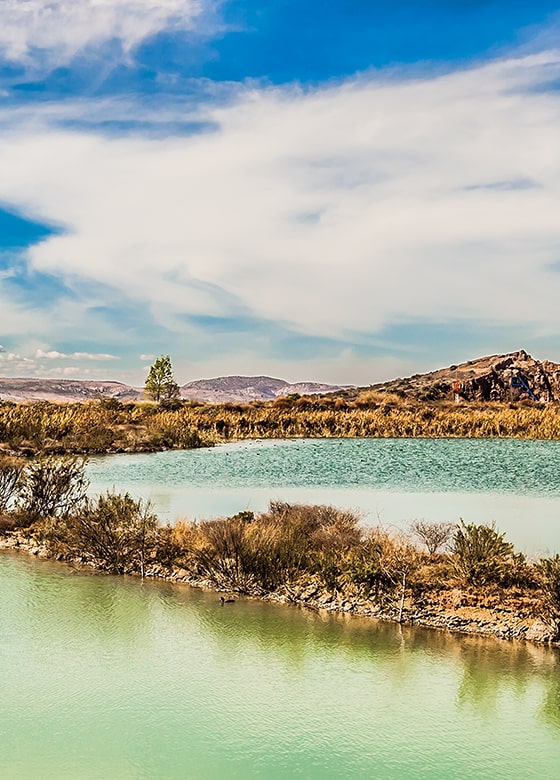 Cumplimiento Ambiental