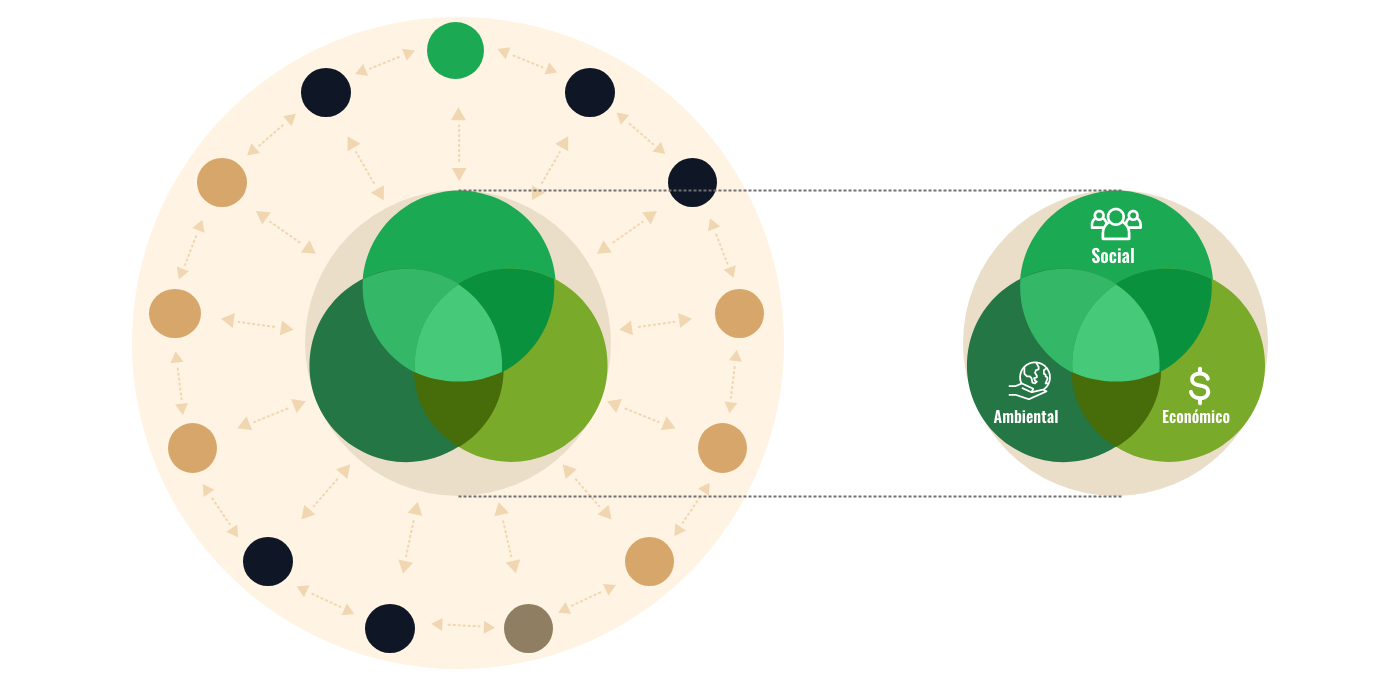 Modelo de vinculación social