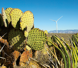 Environmental Performance